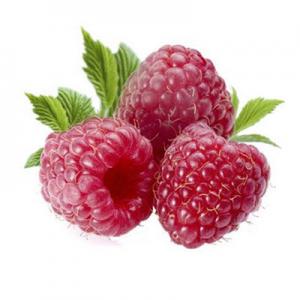 2026树莓十大品牌排行榜