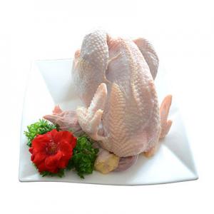 2026老母鸡十大品牌排行榜