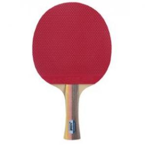 2026乒乓球拍十大品牌排行榜