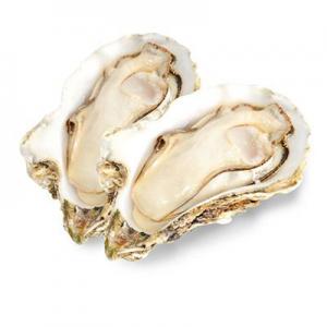 2026生蚝十大品牌排行榜