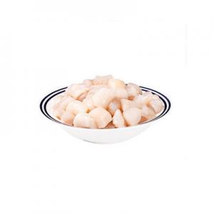 2026扇贝丁十大品牌排行榜