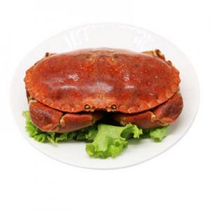 2026面包蟹十大品牌排行榜