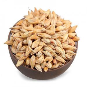 2026麦芽茶十大品牌排行榜