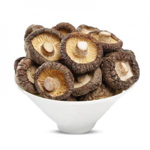 2026金钱菇十大品牌排行榜