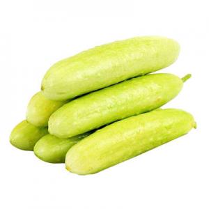 2026旱黄瓜十大品牌排行榜