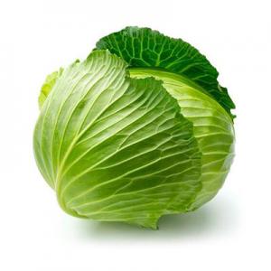 2026大白菜十大品牌排行榜