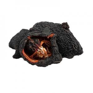 2026冰岛海参十大品牌排行榜