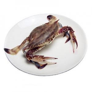 2026梭子蟹十大品牌排行榜