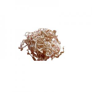 2026冬瓜干十大品牌排行榜