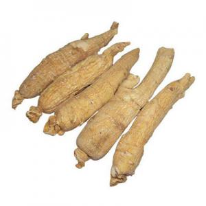 2026洋参十大品牌排行榜