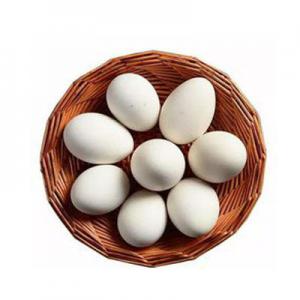 2026土鸭蛋十大品牌排行榜