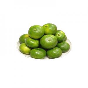 2026青柑十大品牌排行榜