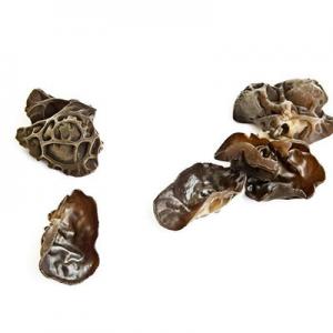 2026野生木耳十大品牌排行榜