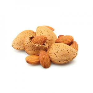 2026巴达木十大品牌排行榜