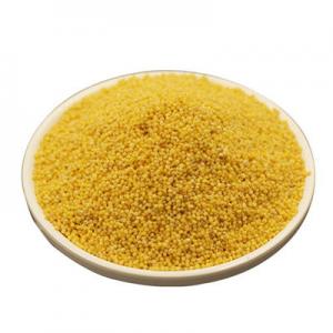 2026黄小米十大品牌排行榜