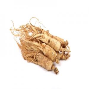 2026干人参十大品牌排行榜