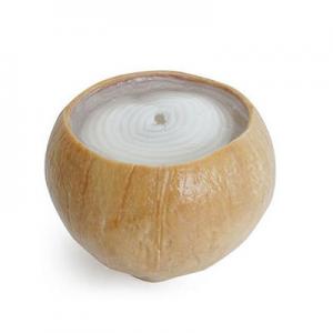 2026椰奶十大品牌排行榜