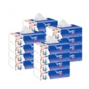 2026纸十大品牌排行榜