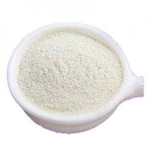 2026布丁粉十大品牌排行榜