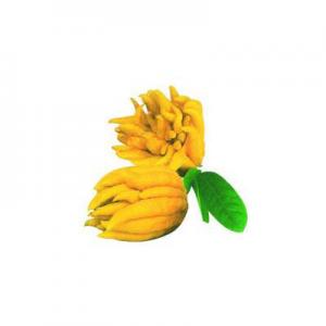 2026佛手茶十大品牌排行榜