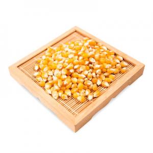 2026玉米粒十大品牌排行榜