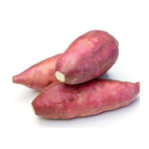 2026新鲜红薯十大品牌排行榜