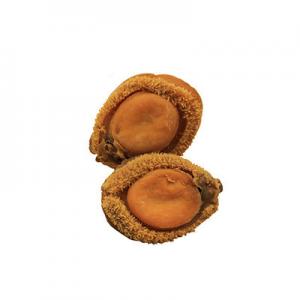 2026大鲍鱼十大品牌排行榜