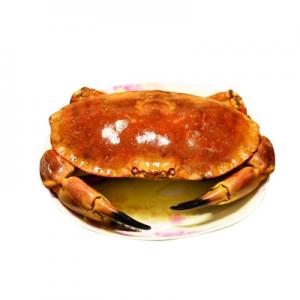 2026冷冻野生海鲜十大品牌排行榜