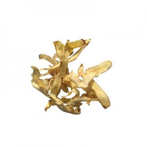 2026玉竹片十大品牌排行榜