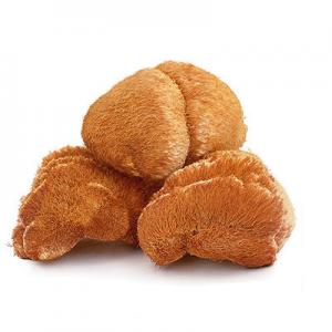 2026山猴头十大品牌排行榜