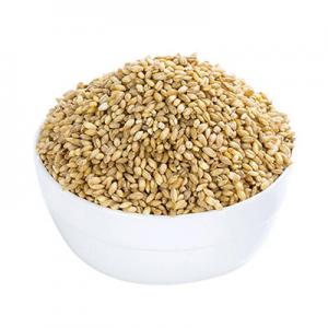 2026大麦米十大品牌排行榜