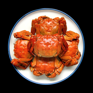 2026六月黄十大品牌排行榜