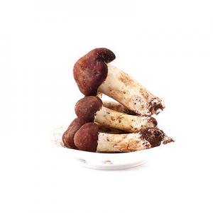 2026新鲜松茸十大品牌排行榜