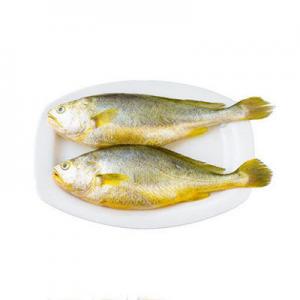 2026大黄花鱼十大品牌排行榜