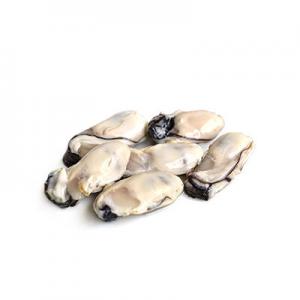 2026海蛎肉十大品牌排行榜