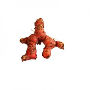 2026山姜十大品牌排行榜