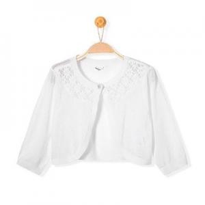 2026线衫十大品牌排行榜