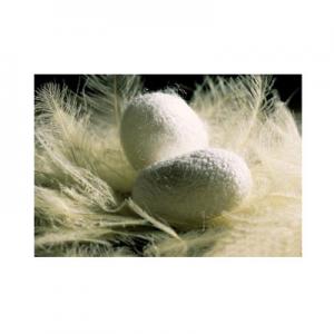 2026天蚕丝十大品牌排行榜