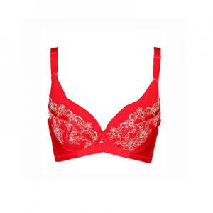 2026聚拢型文胸十大品牌排行榜