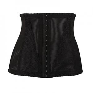 2026塑腰带十大品牌排行榜