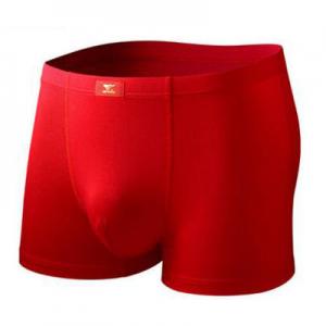 2026本命年内裤十大品牌排行榜