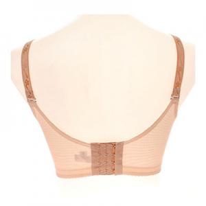 2026四排扣十大品牌排行榜