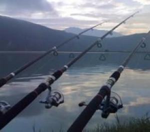 2026抛竿十大品牌排行榜