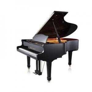 2026三角琴十大品牌排行榜