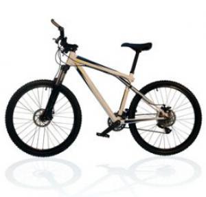 2026变速自行车十大品牌排行榜