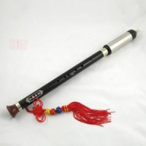 2026巴乌十大品牌排行榜