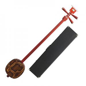 2026小三弦十大品牌排行榜