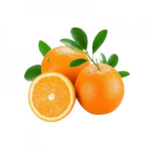 2026桔橘十大品牌排行榜