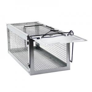 2026老鼠夹十大品牌排行榜