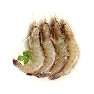 2026白虾十大品牌排行榜